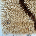 Boucherouite Rug (Sameer) - Mashi Moosh
