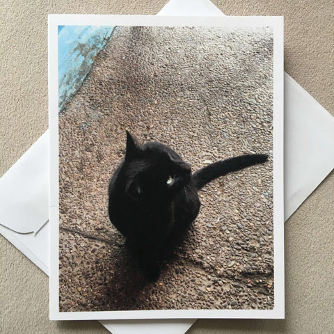 Notelet - Black Cat - Mashi Moosh