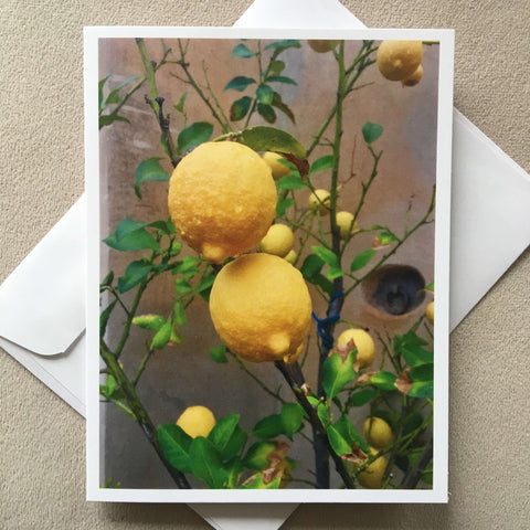 Notelet - Lemons - Mashi Moosh